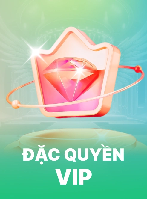 Đặc Quyền VIP